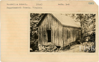 fisk_rf_sf_sp3_05559.jpg