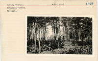 fisk_rf_sf_sp7_06925.jpg
