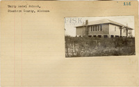 fisk_rf_sf_sp1_04915.jpg
