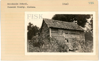 fisk_rf_sf_sp3_05642.jpg
