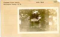 fisk_rf_sf_sp3_05672.jpg