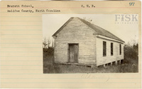 fisk_rf_sf_sp1_04847.jpg