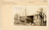 fisk_rf_sf_sp3_05450.jpg