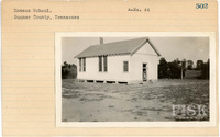 fisk_rf_sf_sp3_05299.jpg