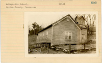 fisk_rf_sf_sp3_05445.jpg