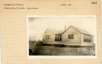 fisk_rf_sf_sp3_05311.jpg
