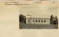 fisk_rf_sf_sp1_04885.jpg