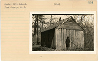 fisk_rf_sf_sp3_05470.jpg