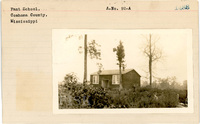 fisk_rf_sf_sp7_06885.jpg