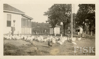 https://s3.us-east-1.amazonaws.com/rw.rosenwald-omeka-prod-stage/original/240f74204f45e6b64c02d6037ae9f1a18c58955a.jpg