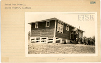 fisk_rf_sf_sp3_05378.jpg