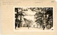 fisk_rf_sf_sp3_05393.jpg