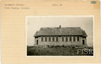 fisk_rf_sf_sp3_05327.jpg
