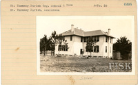 fisk_rf_sf_sp3_05527.jpg