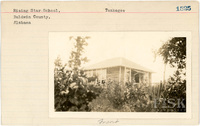 fisk_rf_sf_sp7_06934.jpg