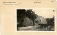 fisk_rf_sf_sp3_05661.jpg