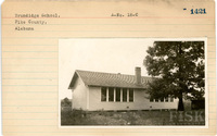 fisk_rf_sf_sp7_06781.jpg