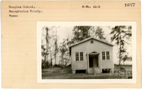 fisk_rf_sf_sp7_07066.jpg