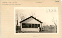 fisk_rf_sf_sp3_05416.jpg