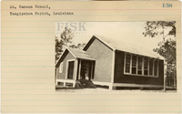 fisk_rf_sf_sp1_04901.jpg