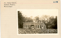 fisk_rf_sf_sp7_06890.jpg