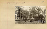 fisk_rf_sf_sp1_04947.jpg