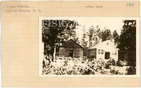 fisk_rf_sf_sp3_05596.jpg