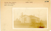 fisk_rf_sf_sp7_06990.jpg
