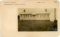 fisk_rf_sf_sp3_05560.jpg
