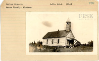 fisk_rf_sf_sp3_05648.jpg