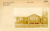 fisk_rf_sf_sp7_06968.jpg