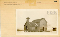 fisk_rf_sf_sp3_05359.jpg