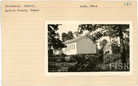 fisk_rf_sf_sp3_05655.jpg