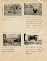 https://s3.us-east-1.amazonaws.com/rw.rosenwald-omeka-prod-stage/original/5268e6a5e81752dea3040b71252c313f12a24d90.jpg
