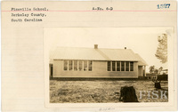 fisk_rf_sf_sp7_06938.jpg