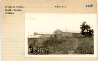 fisk_rf_sf_sp7_06814.jpg