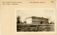 fisk_rf_sf_sp3_05481.jpg