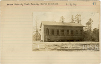 fisk_rf_sf_sp1_04801.jpg