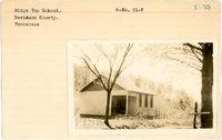 fisk_rf_sf_sp7_07127.jpg