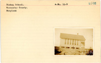 fisk_rf_sf_sp7_07135.jpg