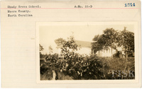 fisk_rf_sf_sp7_06917.jpg