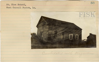 fisk_rf_sf_sp1_04831.jpg