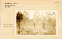 fisk_rf_sf_sp10_08092.jpg