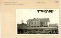 fisk_rf_sf_sp3_05617.jpg