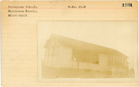 fisk_rf_sf_sp7_06984.jpg