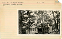fisk_rf_sf_sp3_05670.jpg