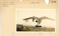 fisk_rf_sf_sp7_06982.jpg