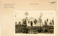 fisk_rf_sf_sp7_06762.jpg