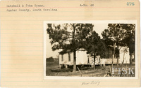 fisk_rf_sf_sp3_05257.jpg