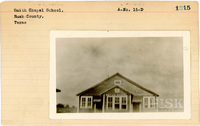 fisk_rf_sf_sp7_07062.jpg
